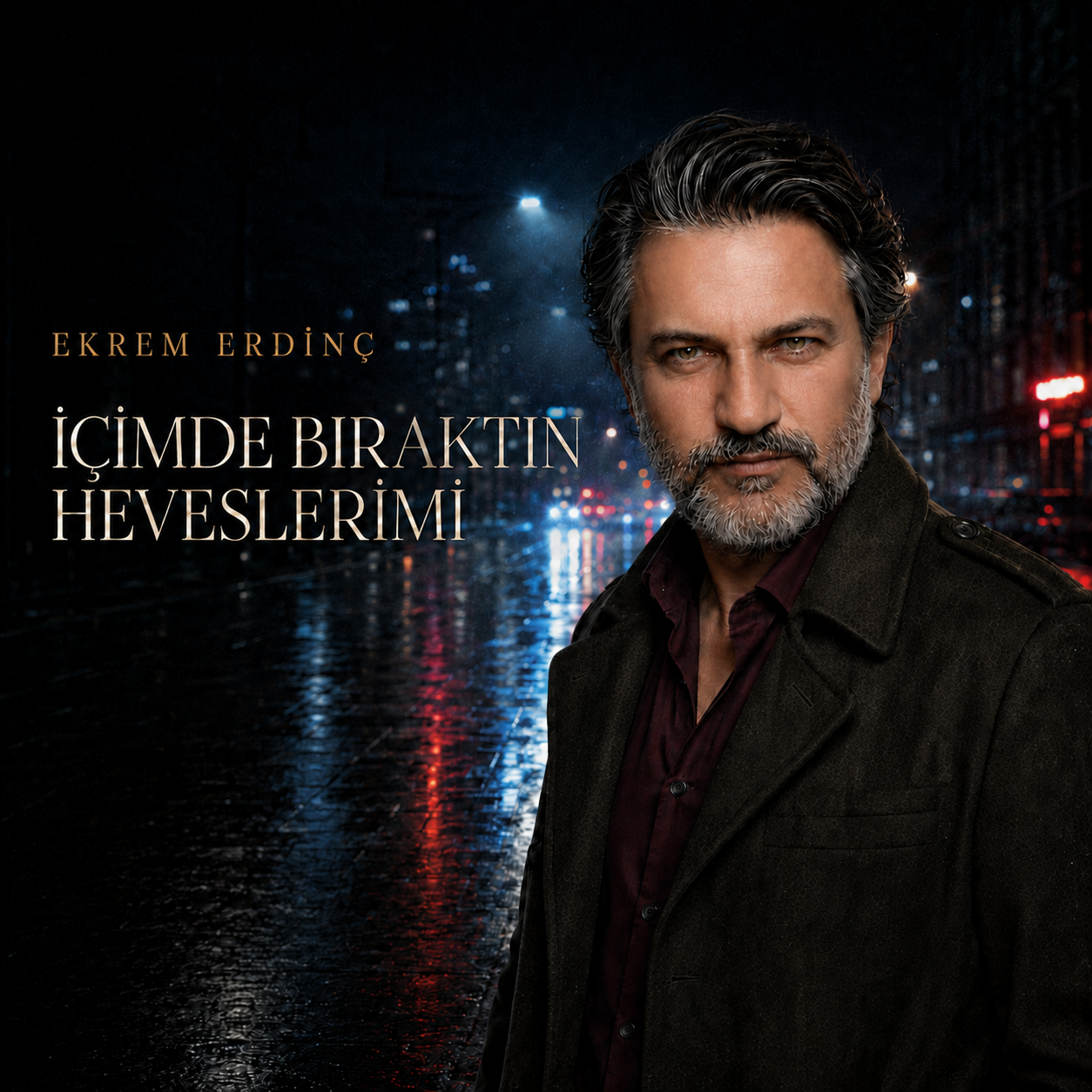 İçimde Bıraktın Heveslerimi kapak görseli